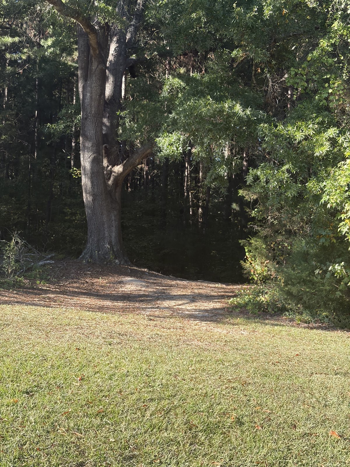 The Loop trail photo 2