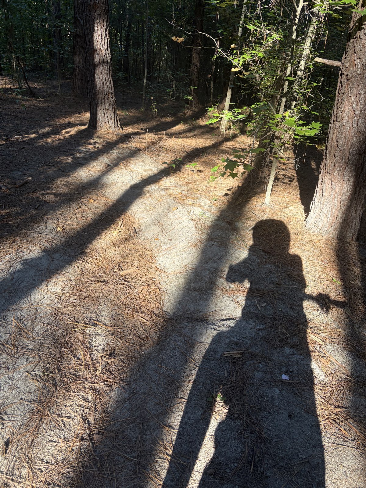The Loop trail photo 4