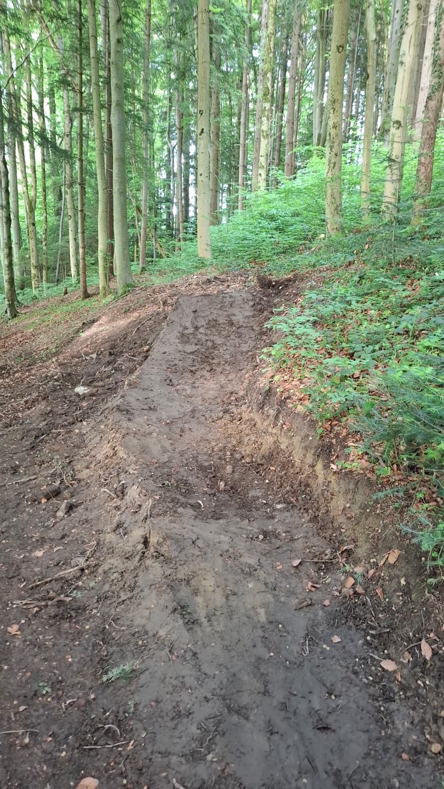 Hainzenhöhe FreeRide Line trail photo 2
