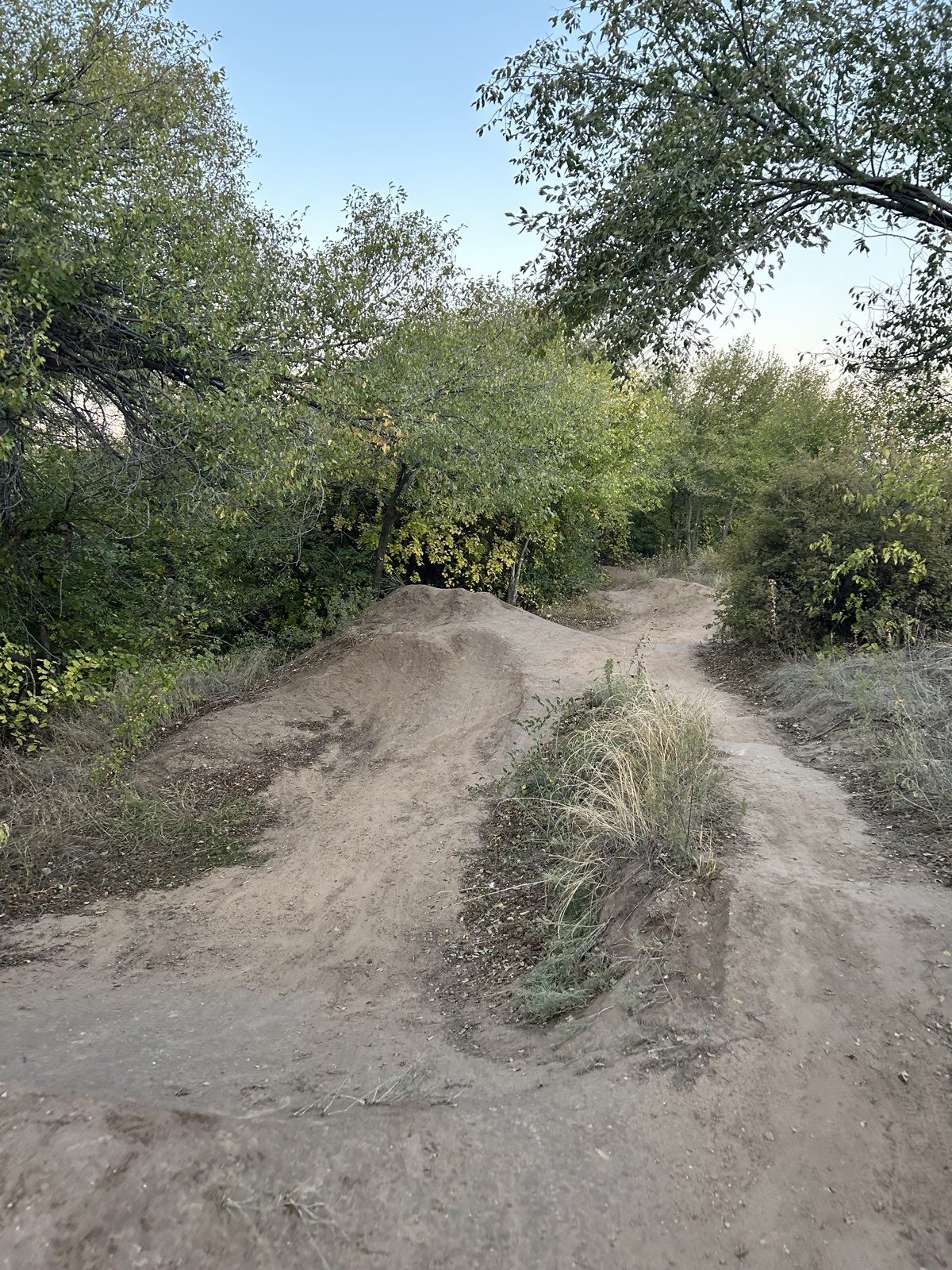 main jumps trail photo 3