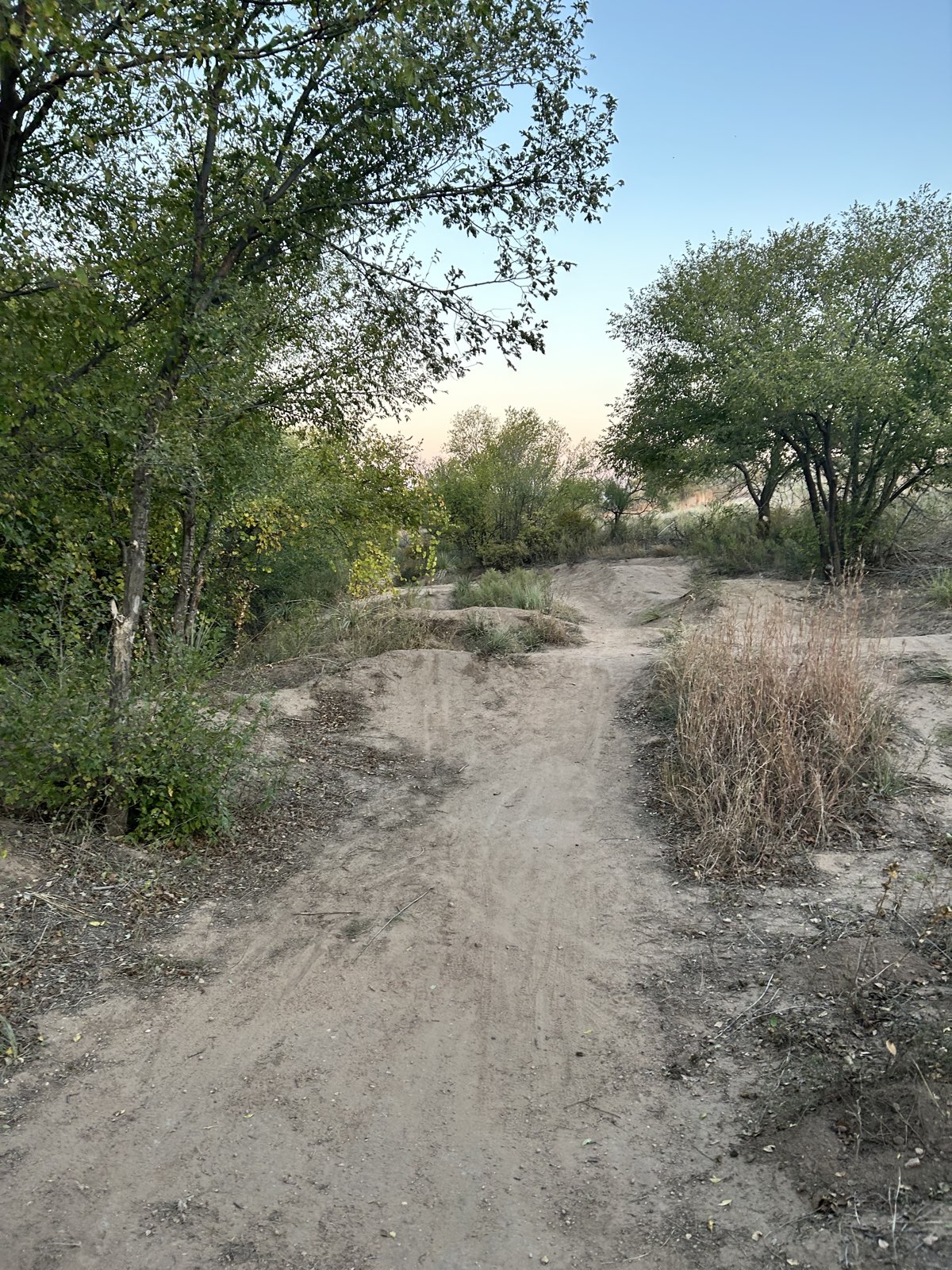 main jumps trail photo 5