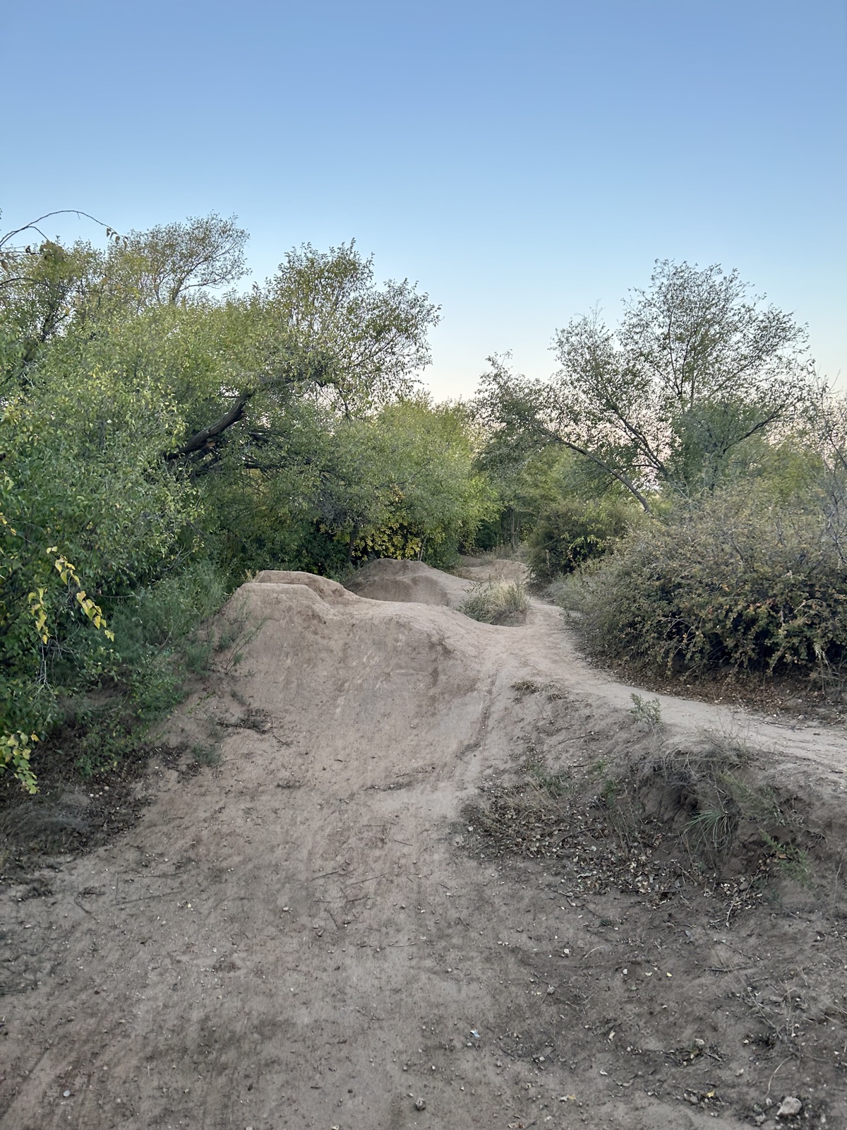main jumps trail photo 2