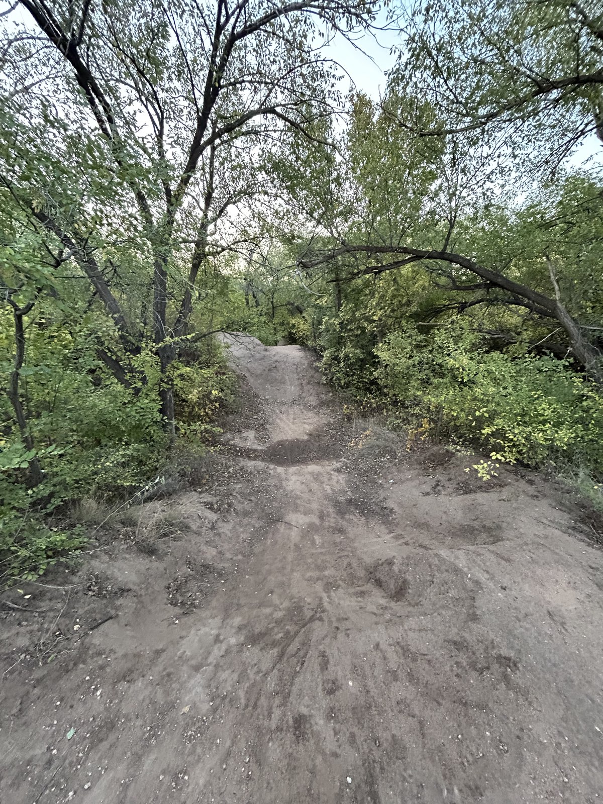 main jumps trail photo 1
