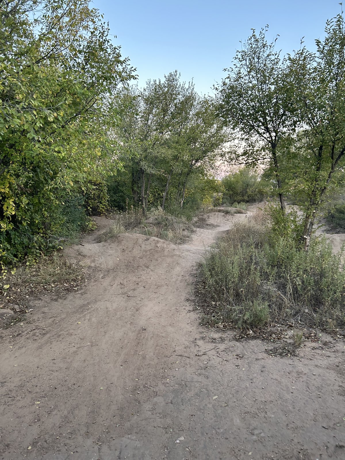 main jumps trail photo 4