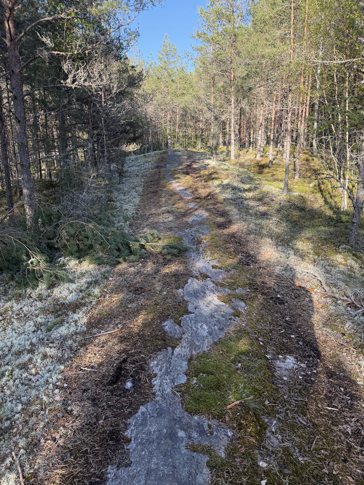 Dropper flopper trail photo 1