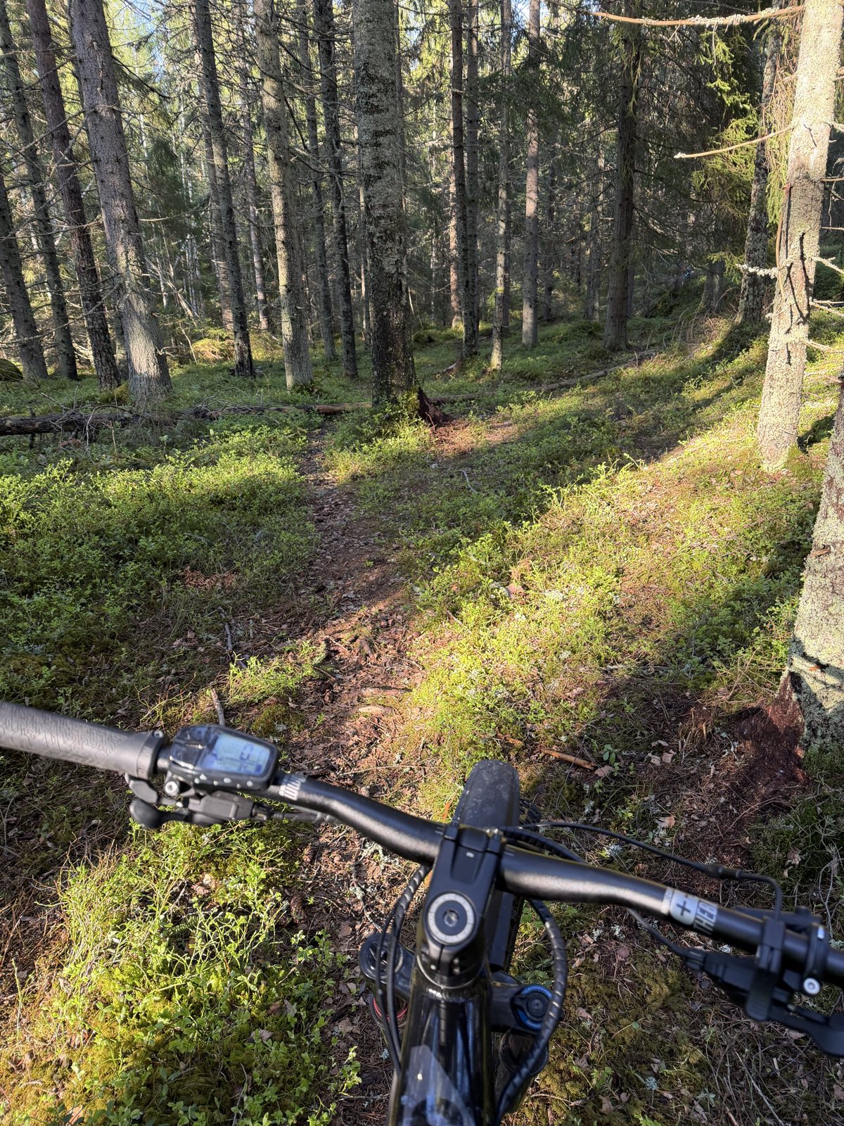 Dropper flopper trail photo 2