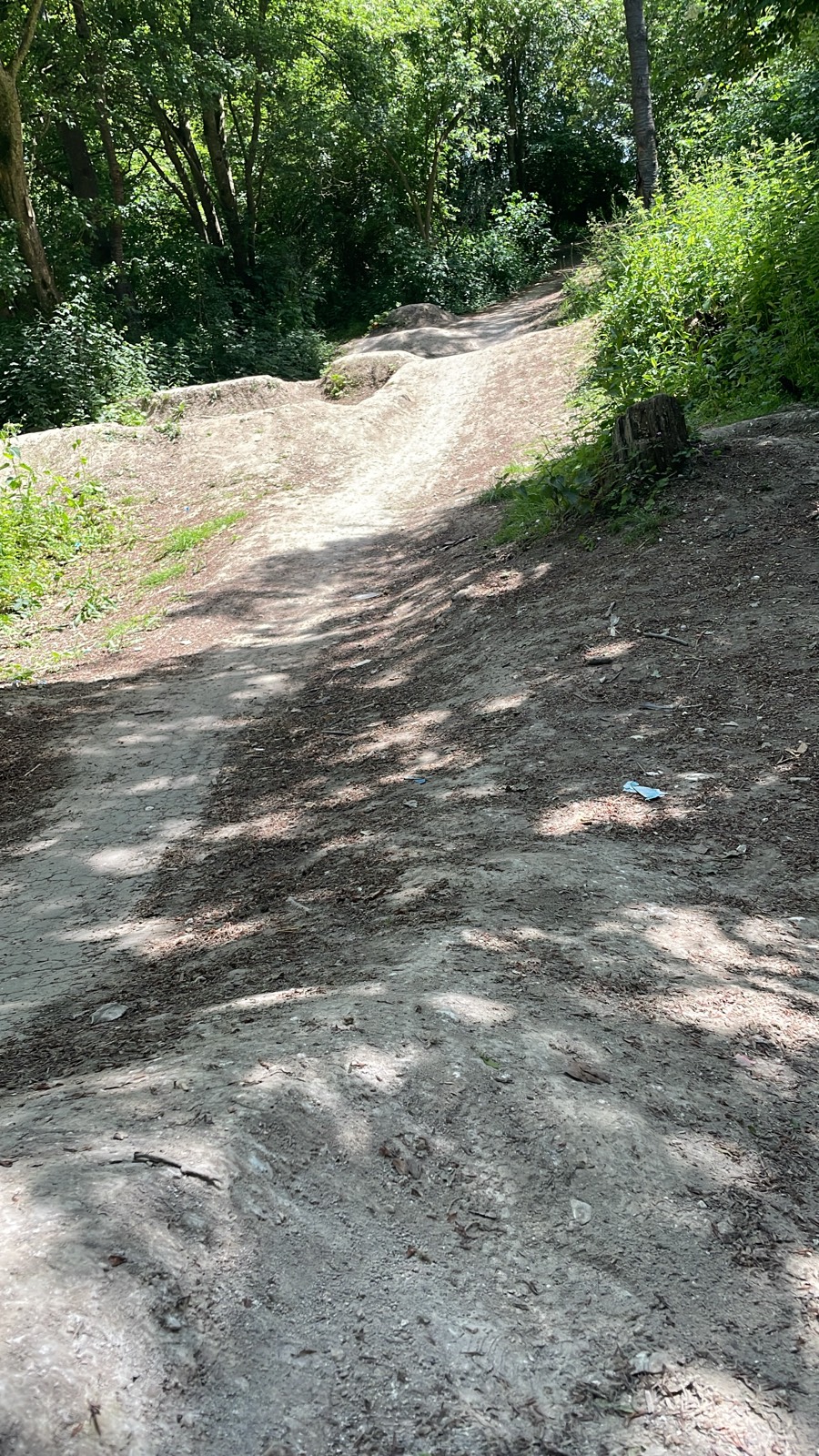 Lidl Jumps trail photo 2