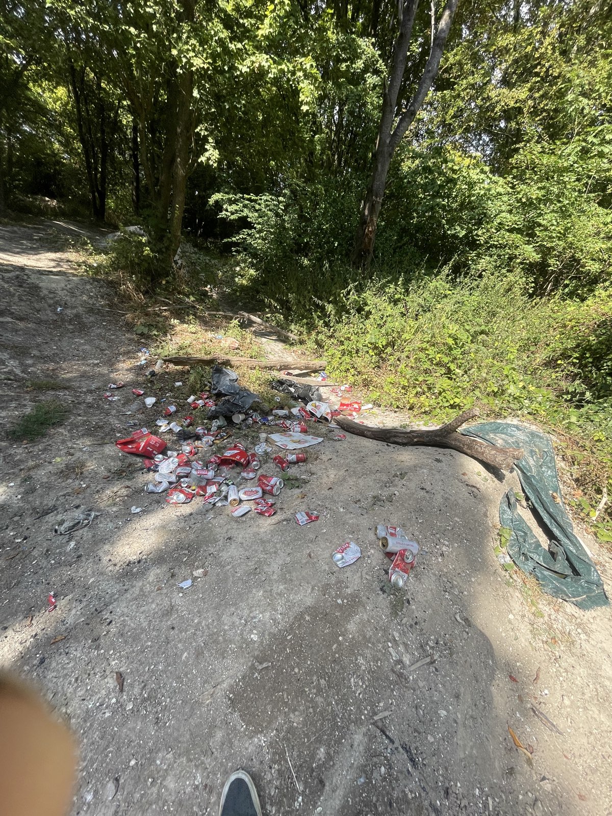 Lidl Jumps trail photo 1