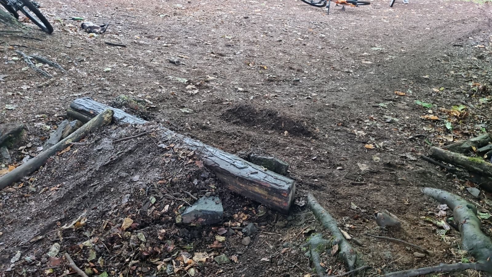 Mearnskirk Forest Trails trail photo 2