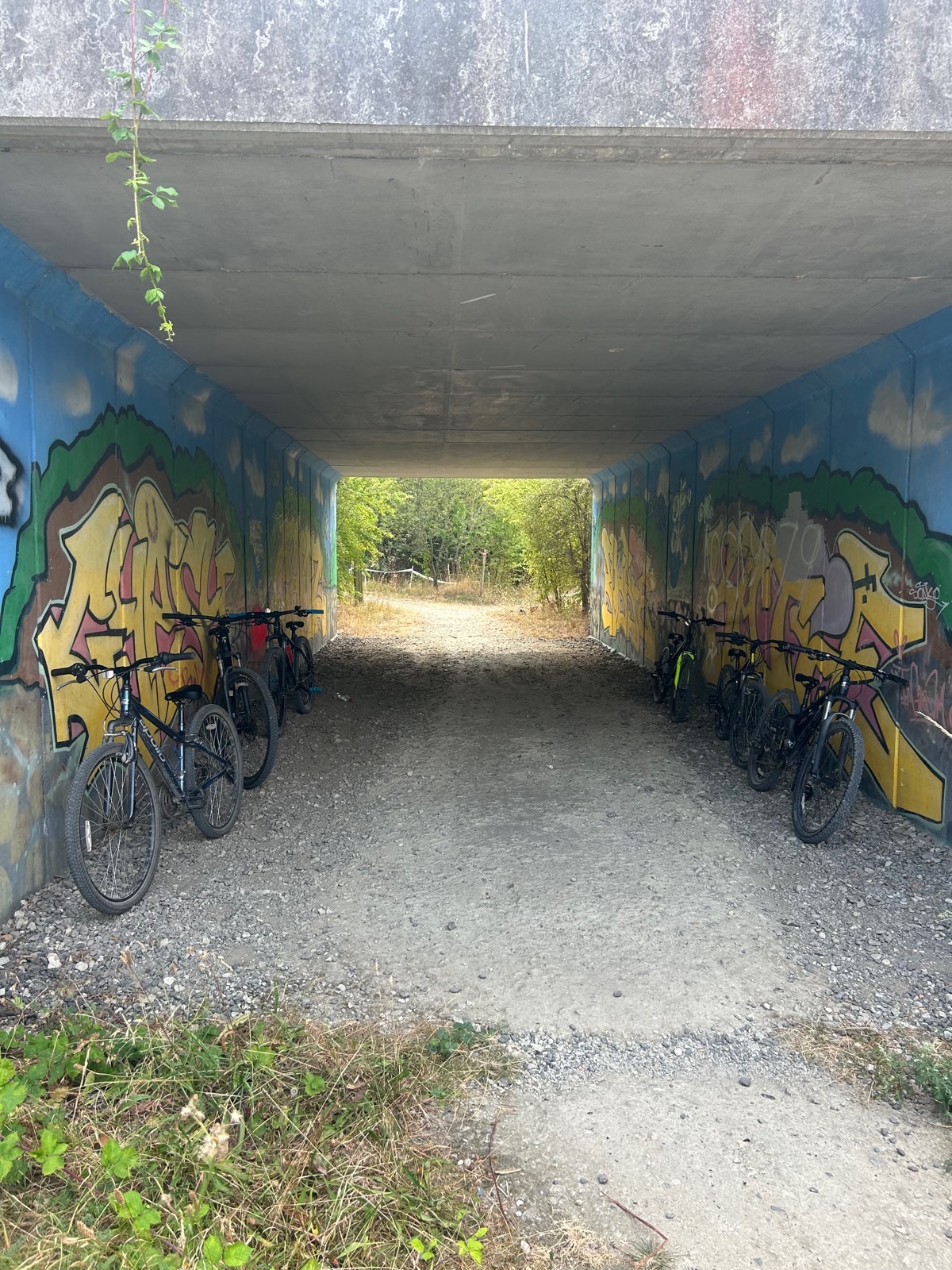 Cyclopark Red Trail trail photo 1