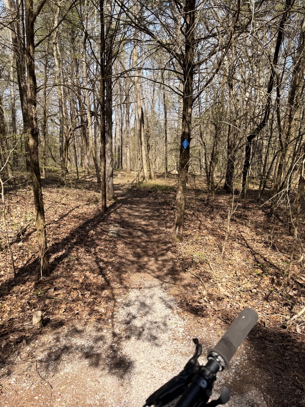 Jones Mill MTB Trail trail photo 1