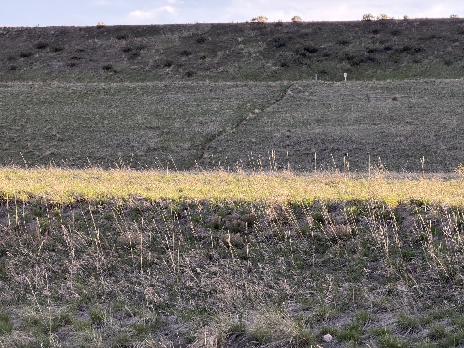 Standley Lake Trail trail photo 2