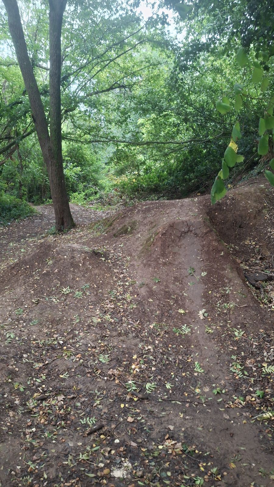 The Dell trail photo 1