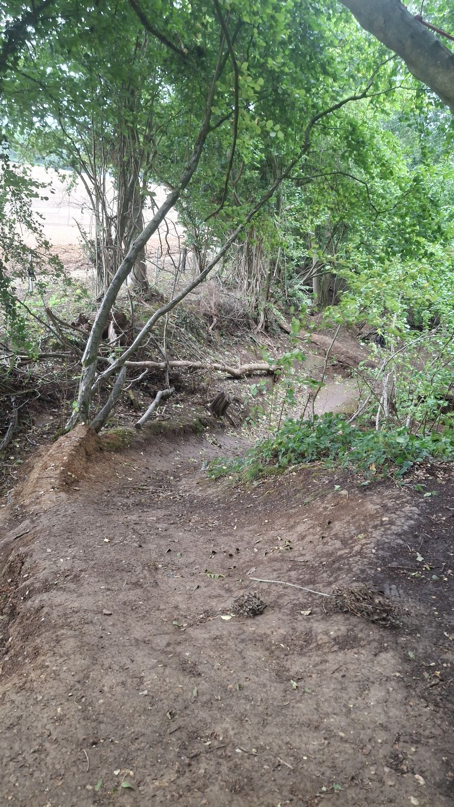 The Dell trail photo 3