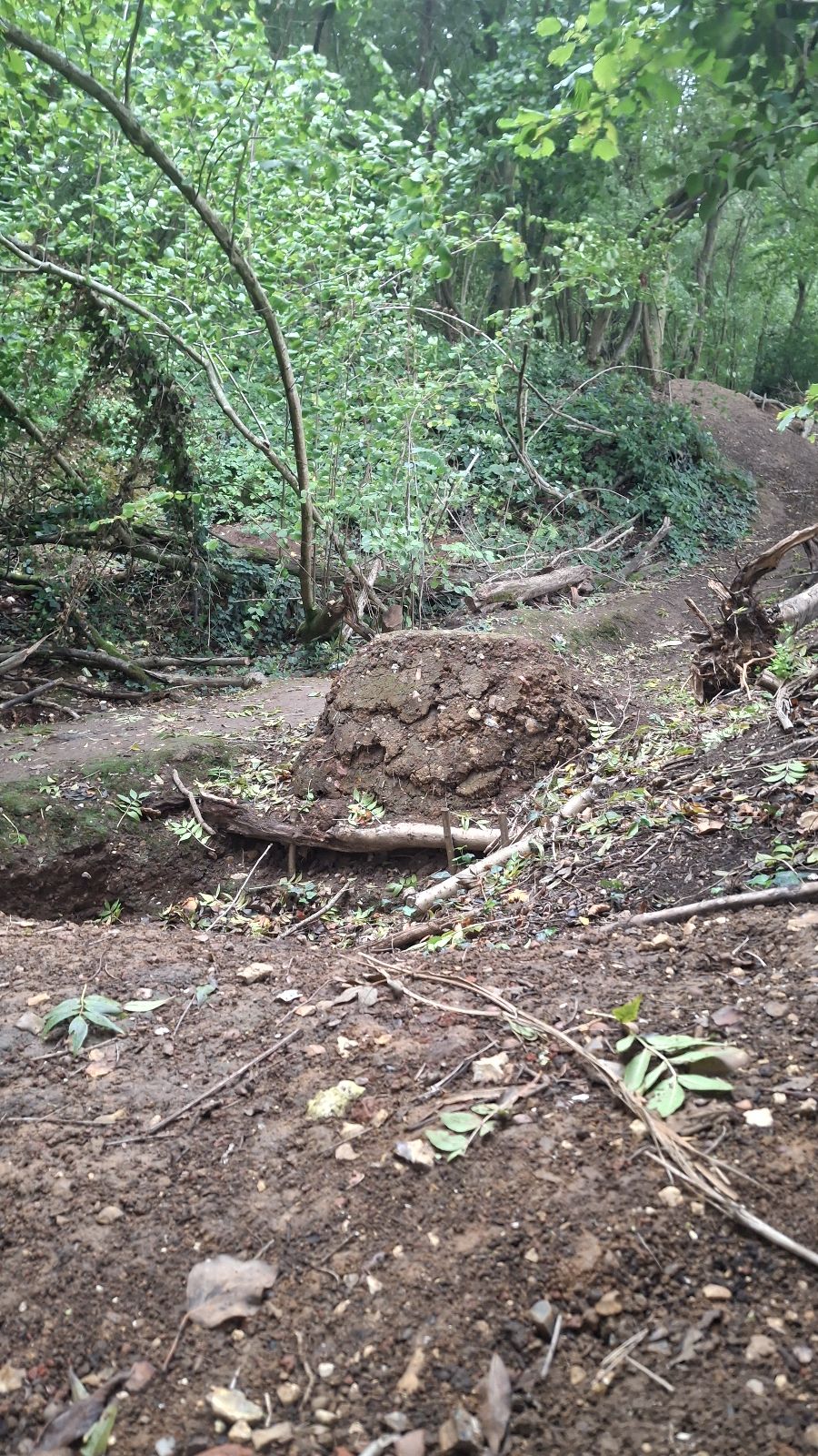 The Dell trail photo 2