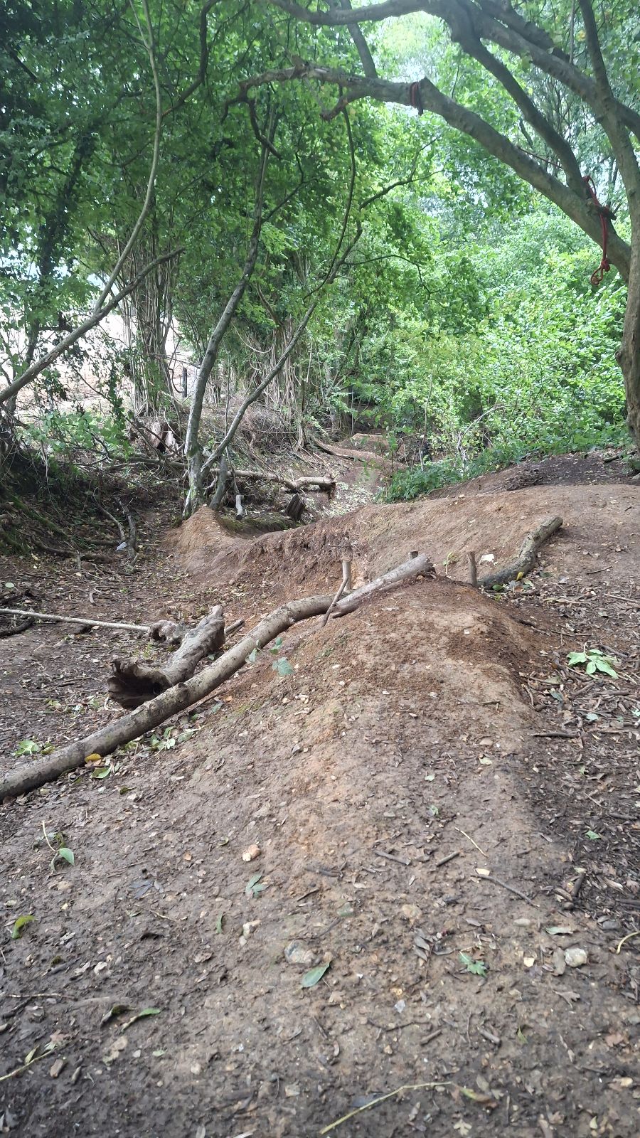 The Dell trail photo 4