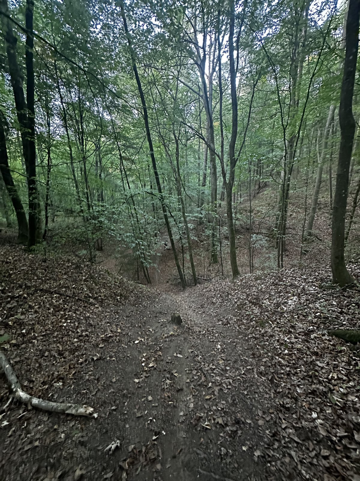 Links der Tauber trail photo 1