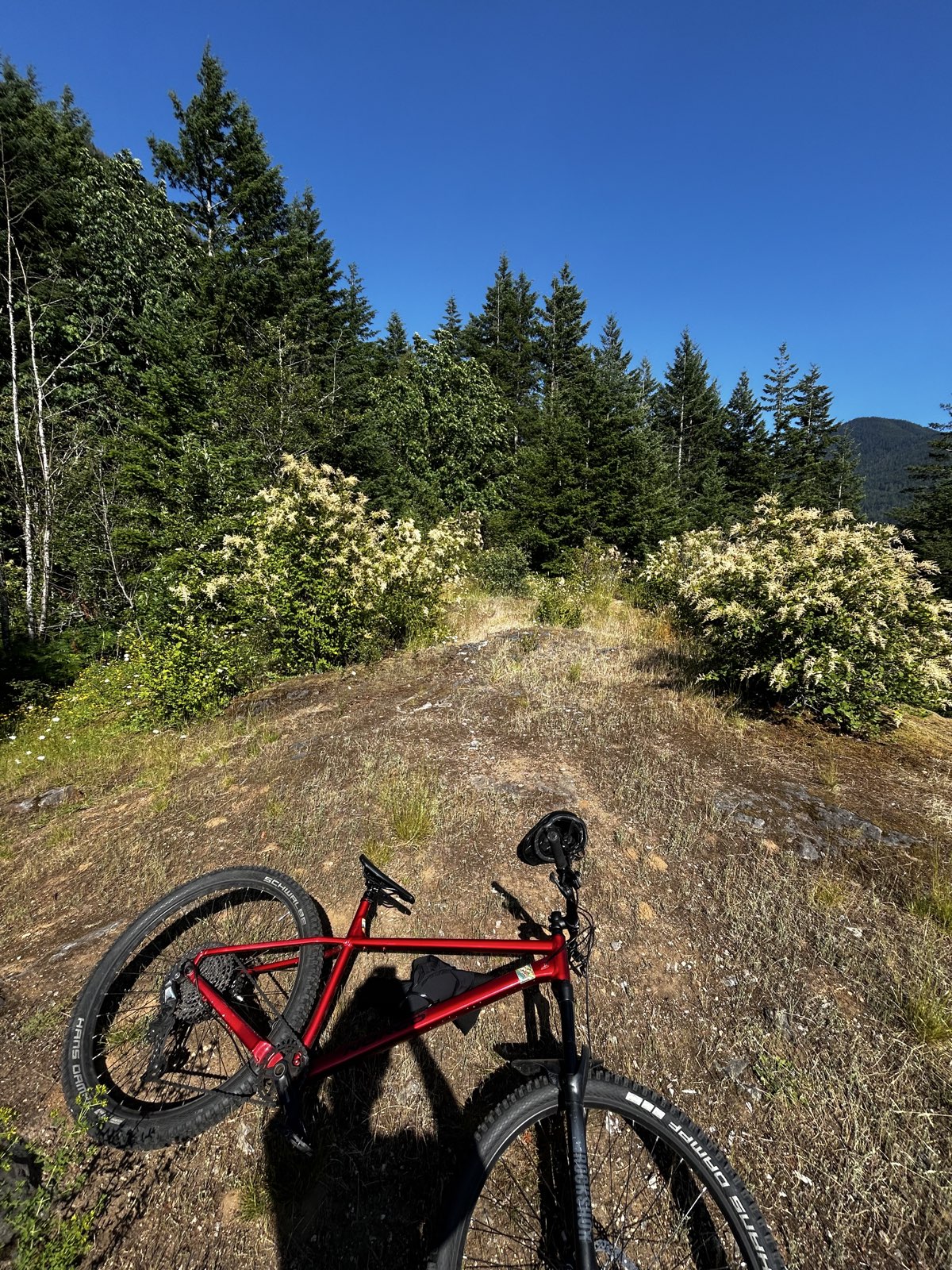 Gorilla trail photo 3