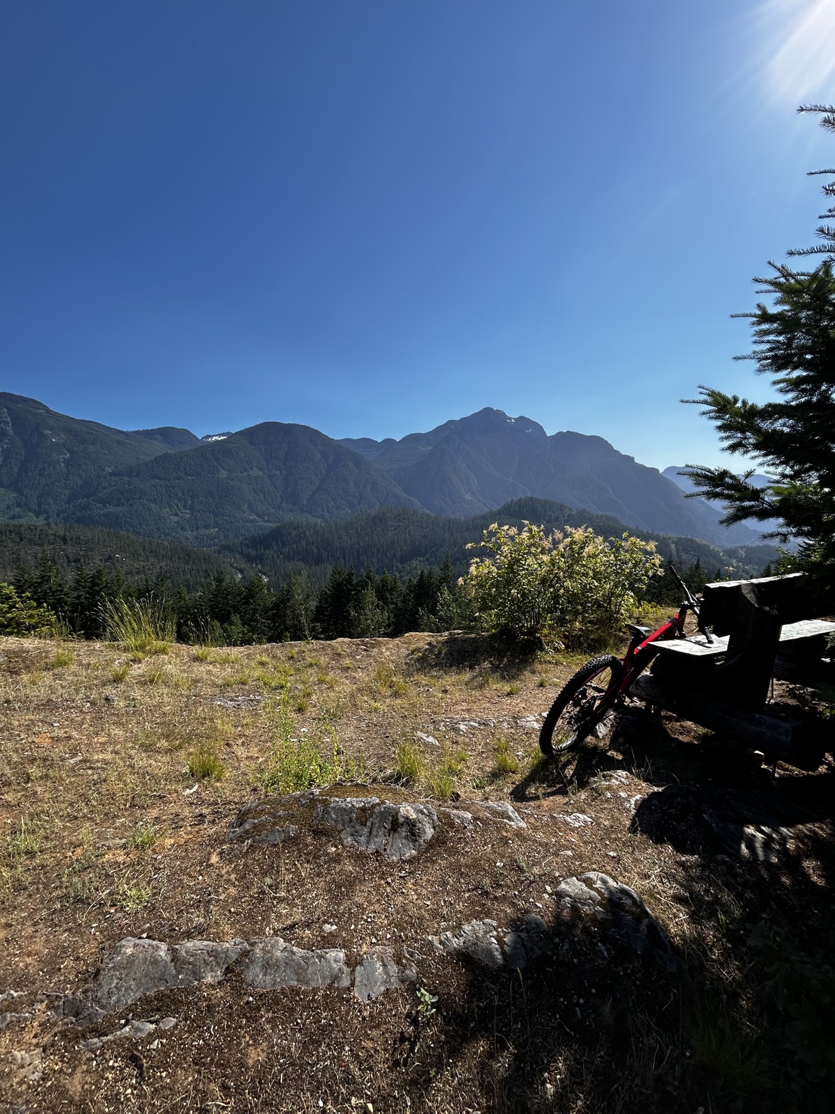 Gorilla trail photo 2