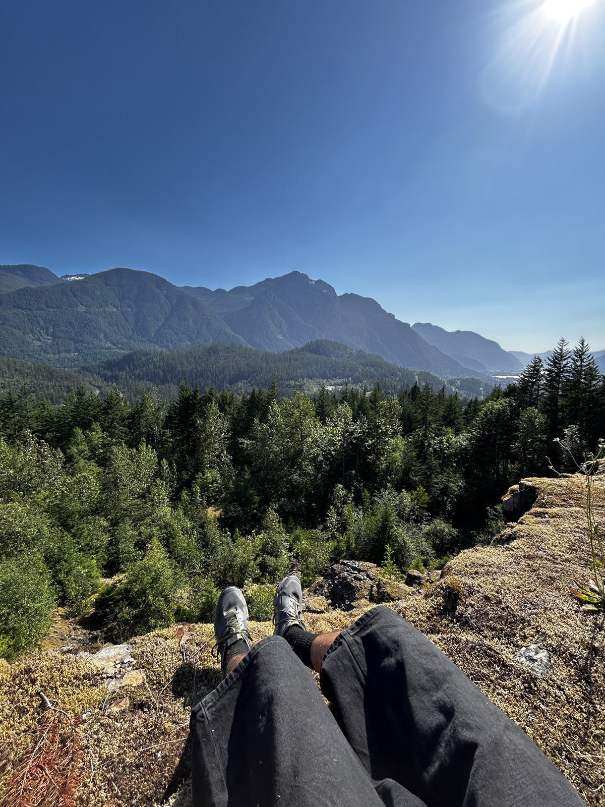 Gorilla trail photo 1