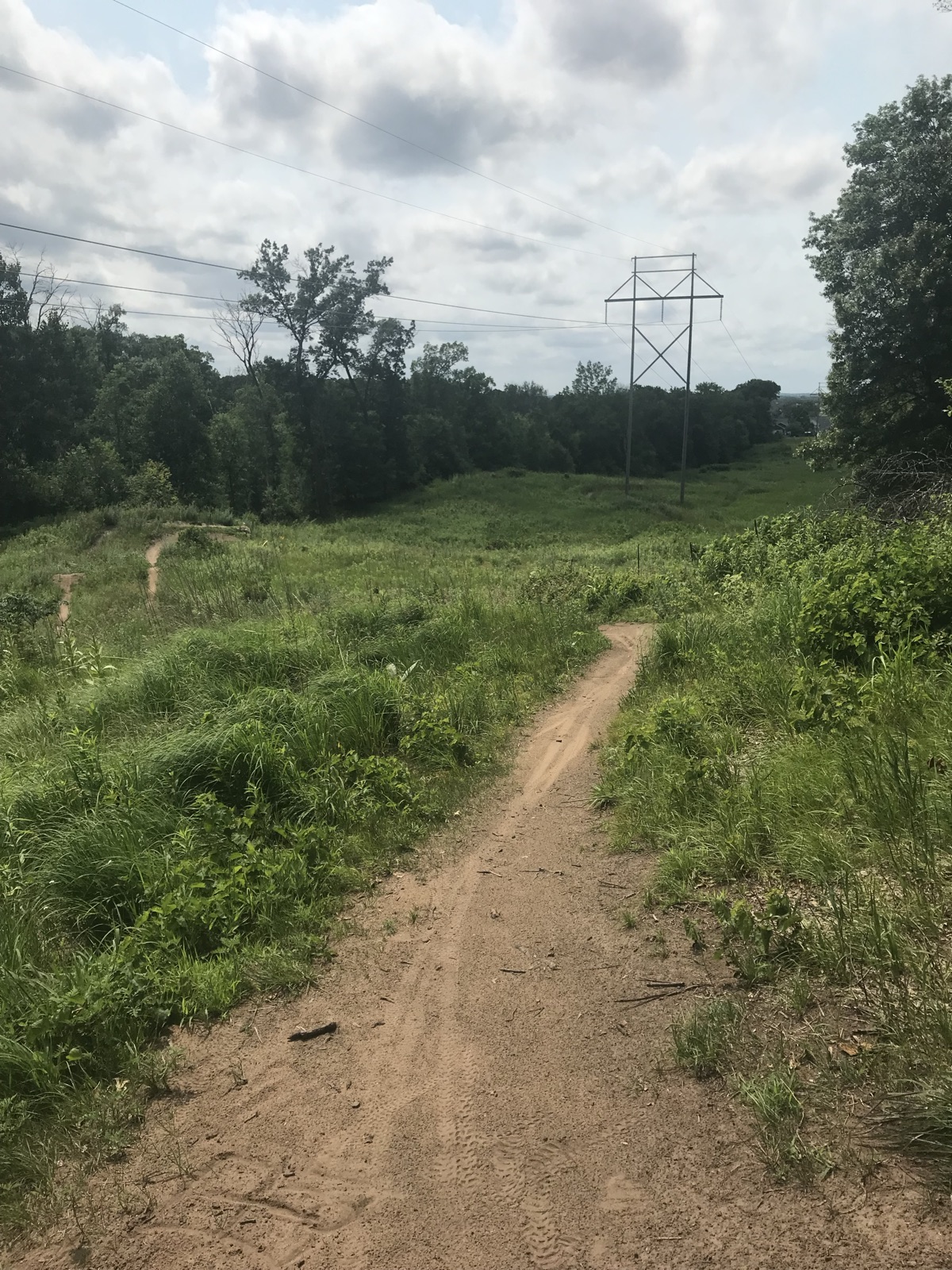 Hillside Singletrack trail photo 2
