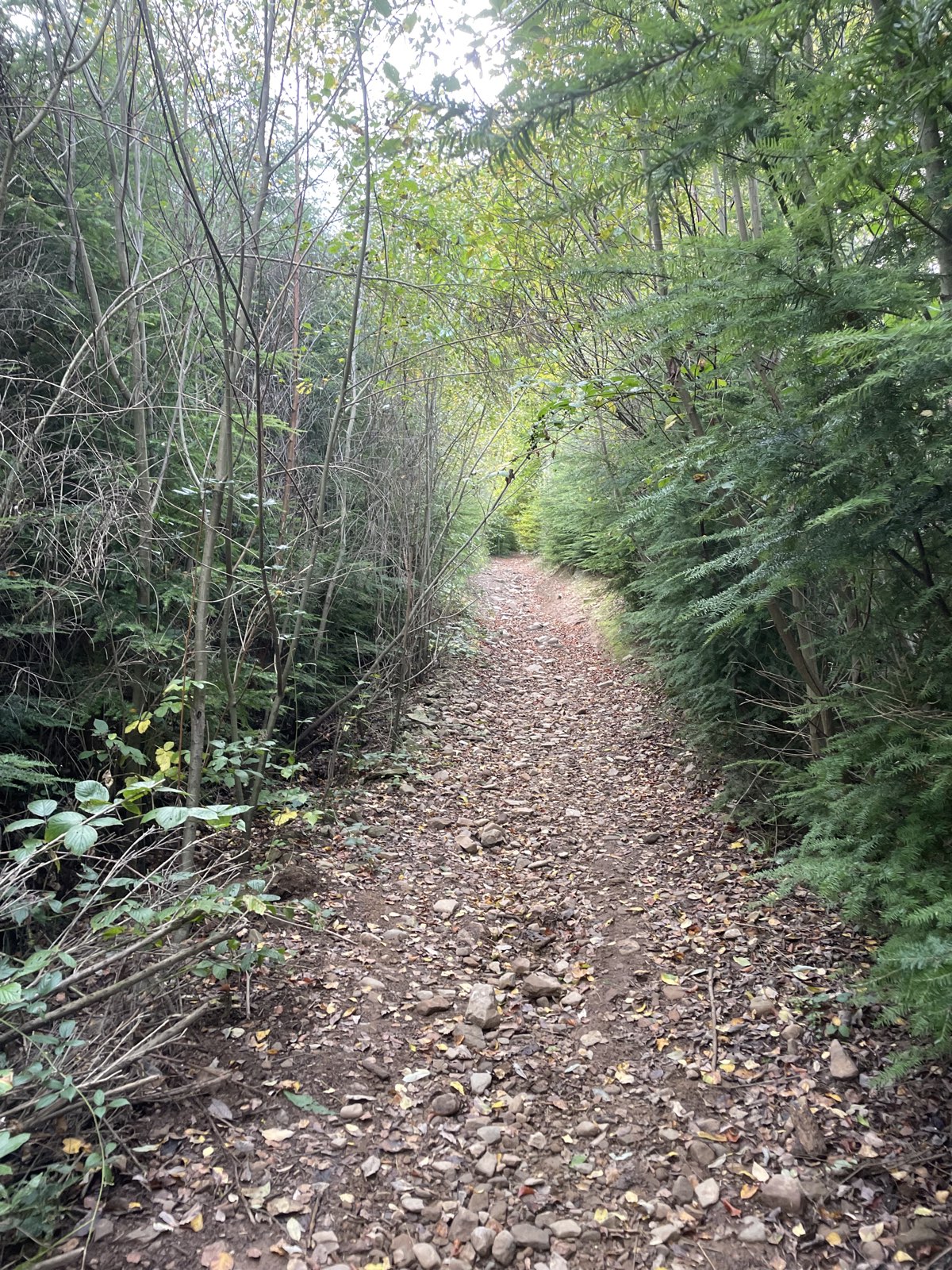 Wakebaron trail photo 2