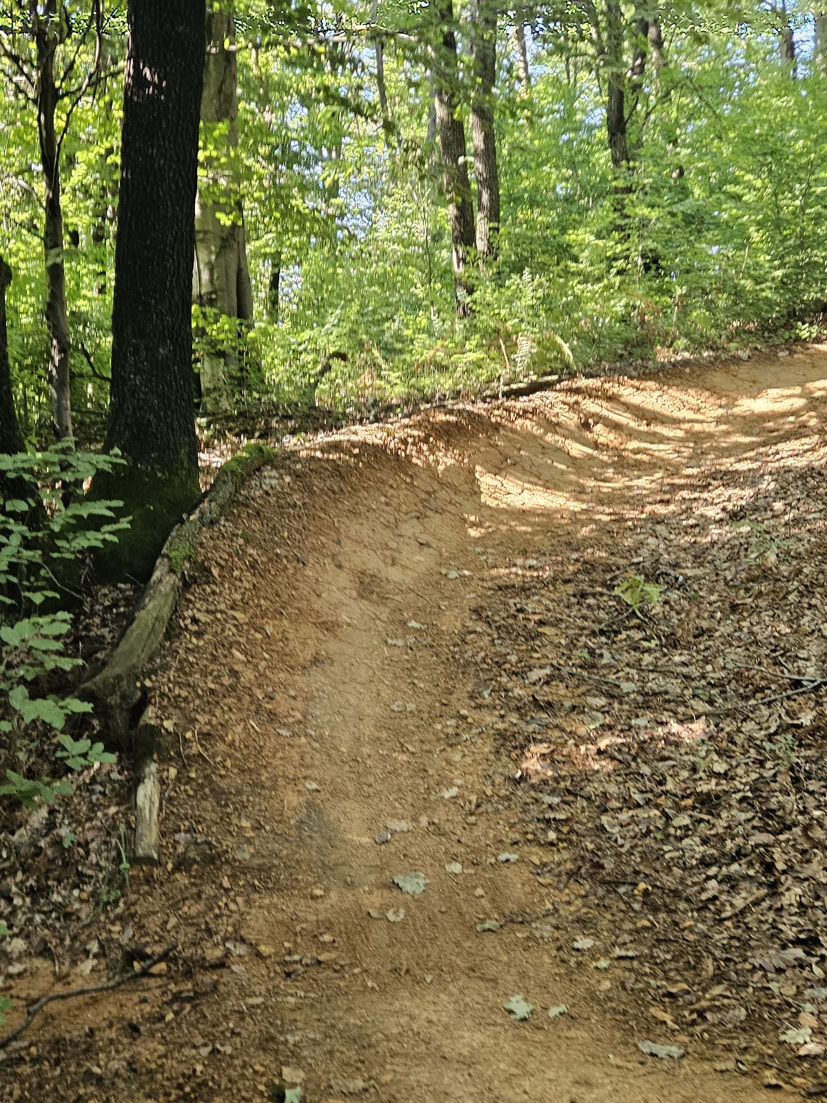 Trije bratje trail photo 3