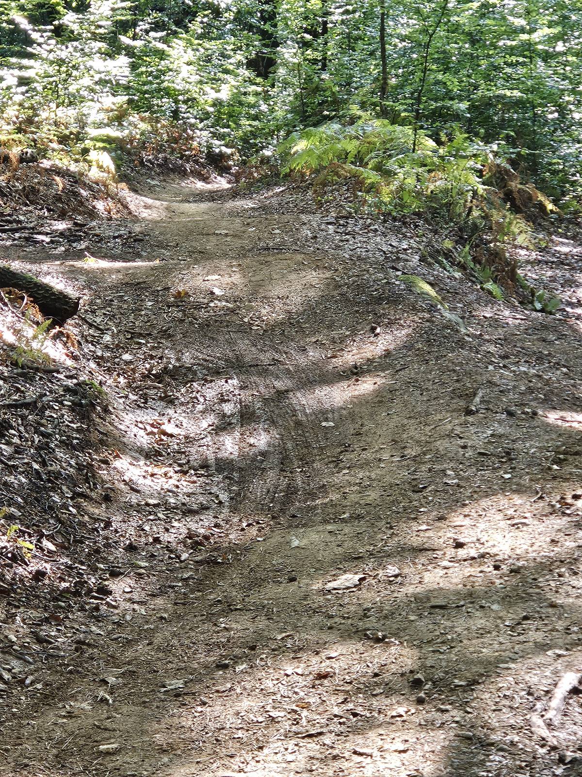 Trije bratje trail photo 2