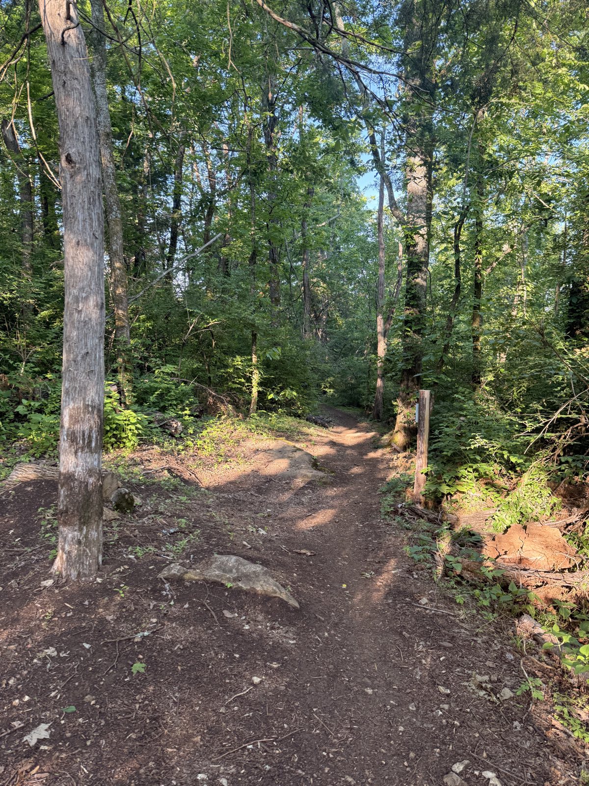 Blue Grass trail photo 3