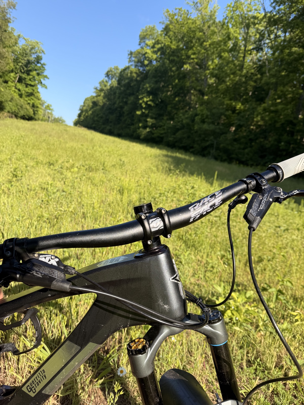 Blue Grass trail photo 1