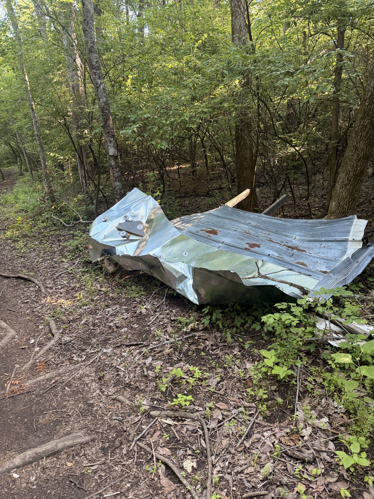 Blue Grass trail photo 2