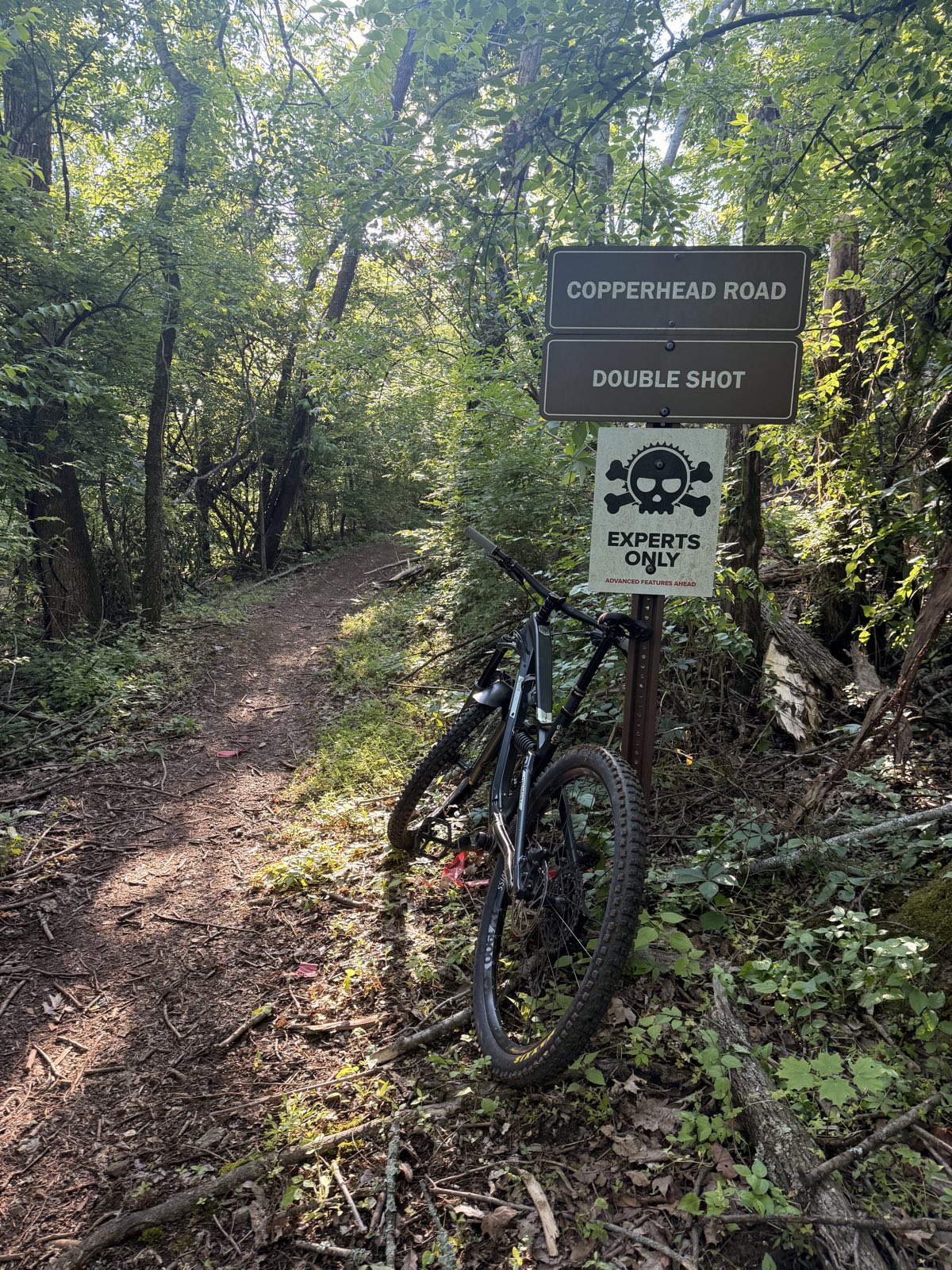 Blue Grass trail photo 4
