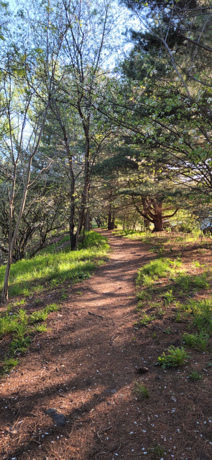 Jerry Cataldo Reservation Path trail photo 1
