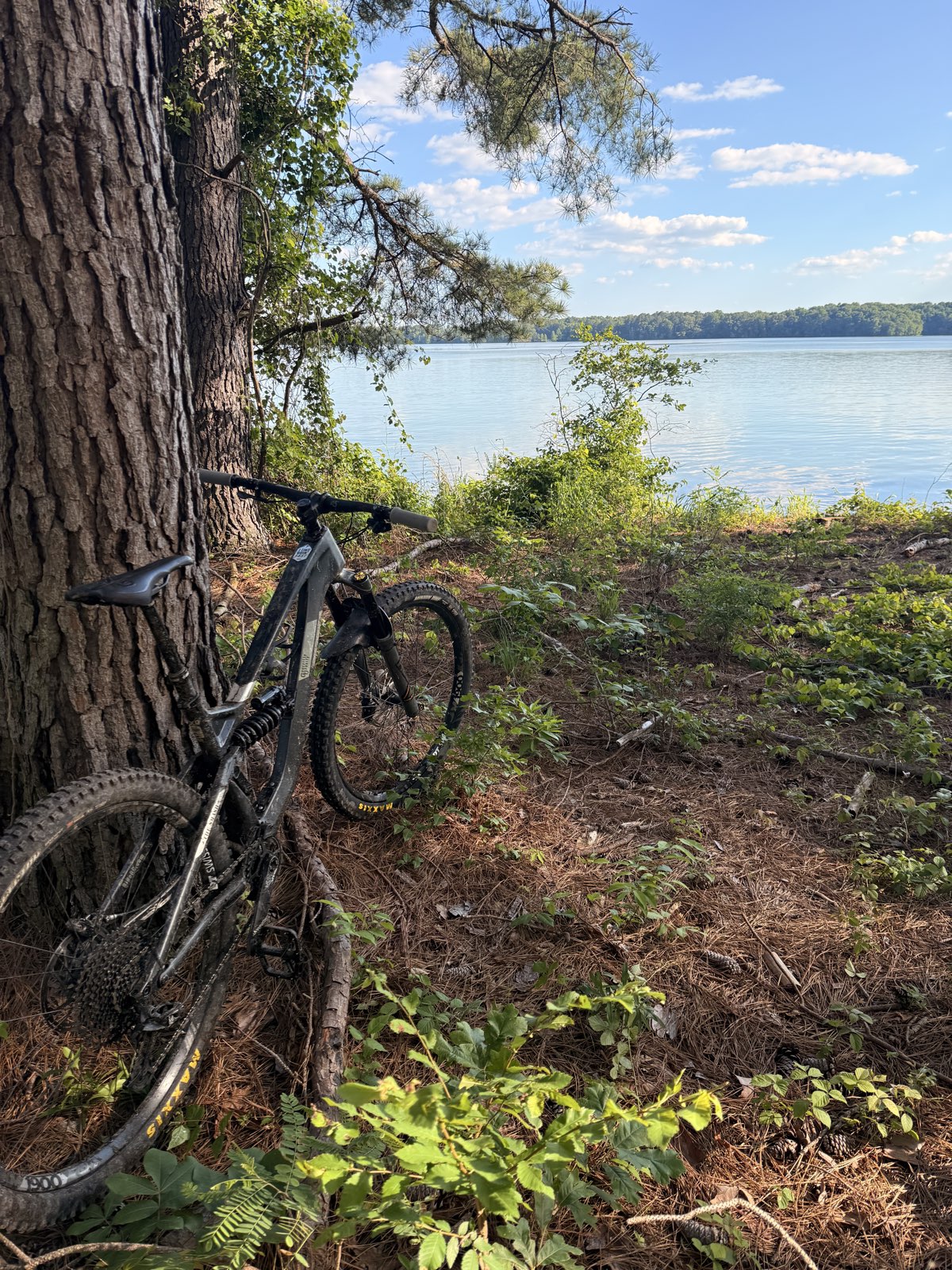 AEDC MTB Trail trail photo 1