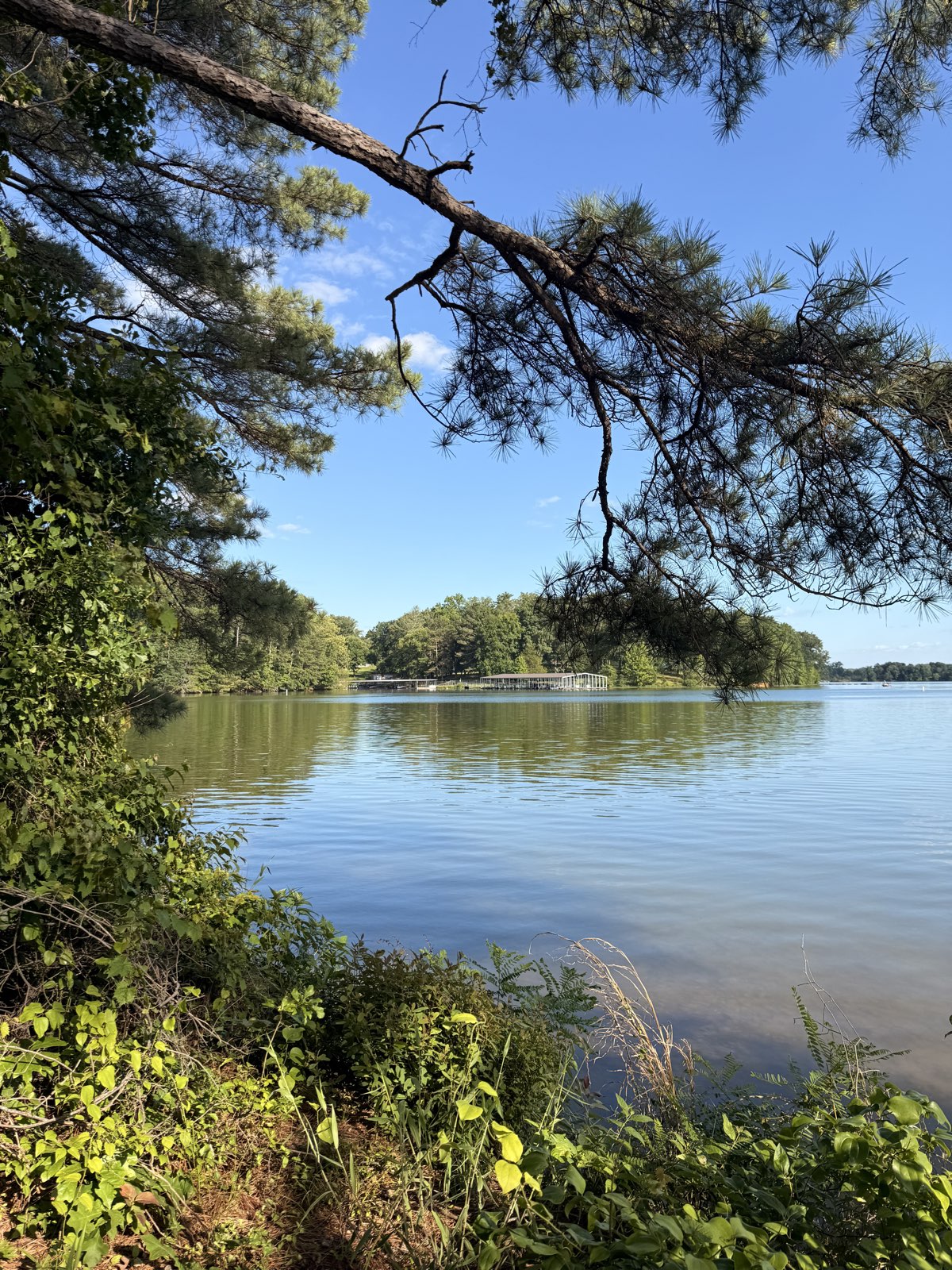 AEDC MTB Trail trail photo 2