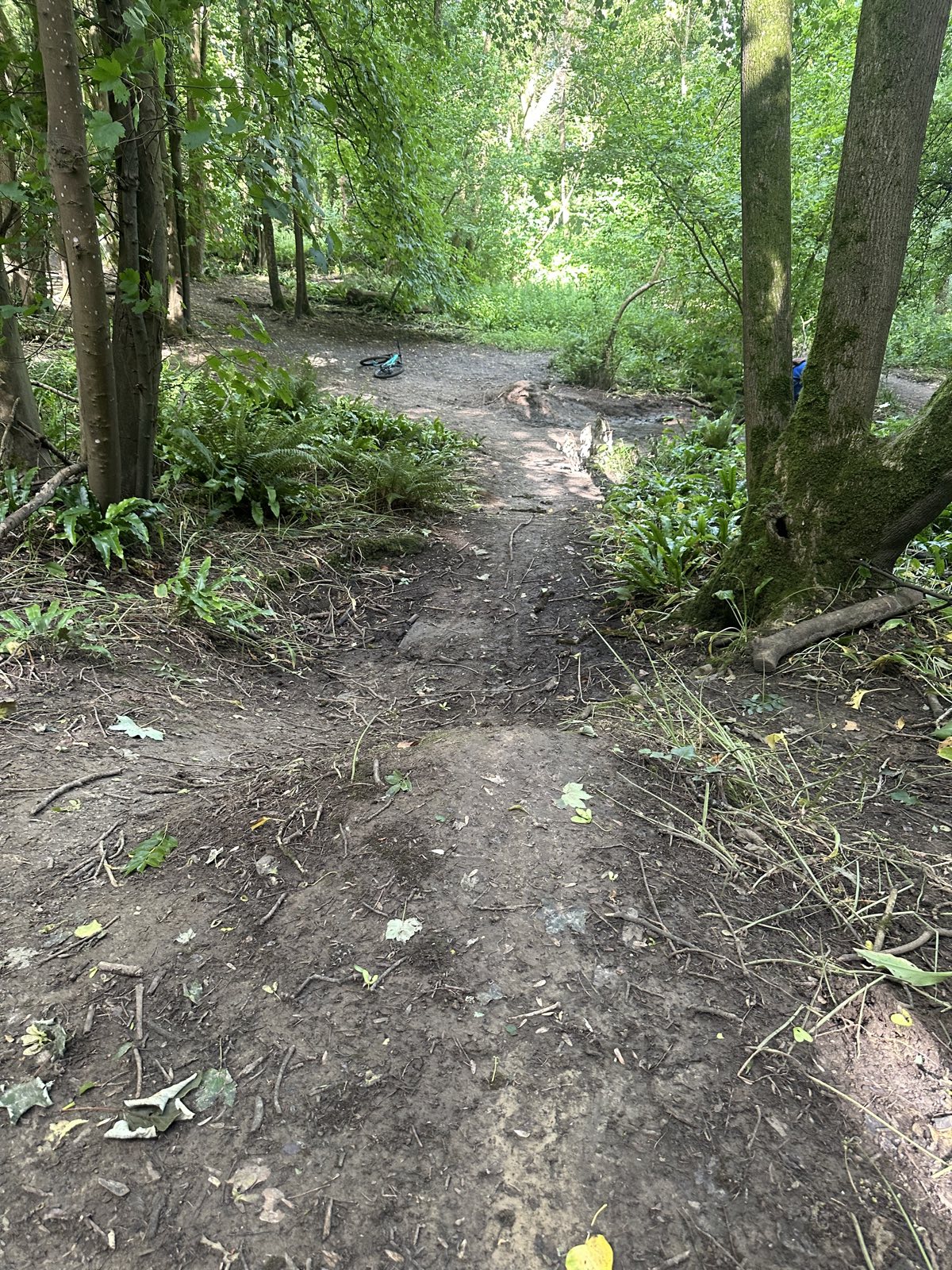 Ham hill route to Yeovil trail photo 4
