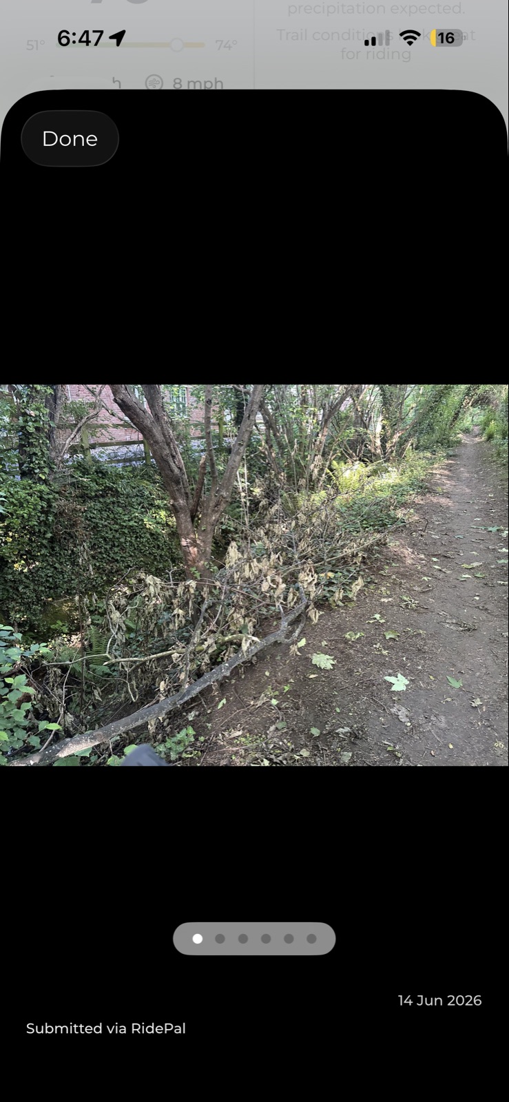 Ham hill route to Yeovil trail photo 2