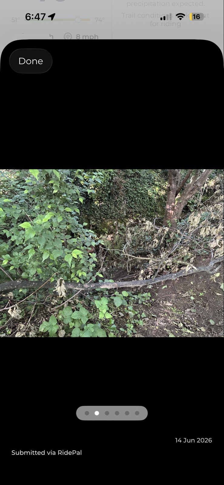 Ham hill route to Yeovil trail photo 1