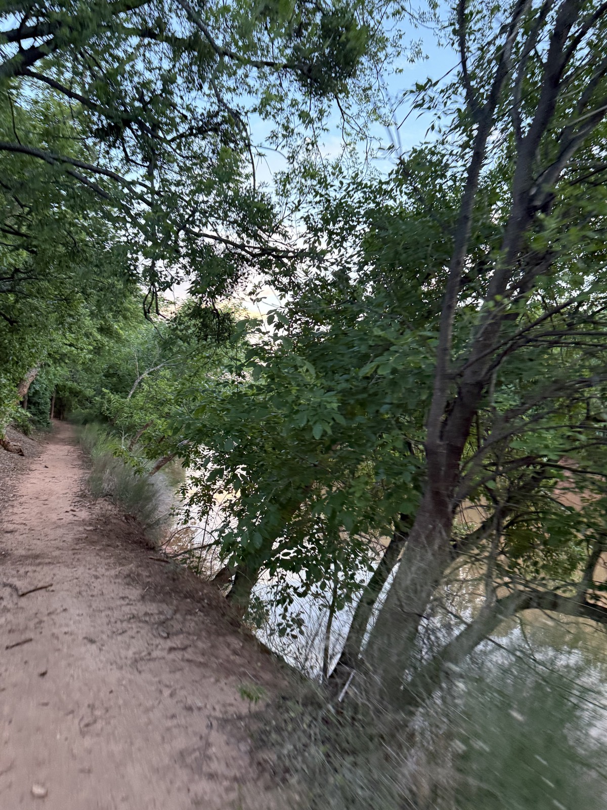 Wee-Chi-Tah trail trail photo 3