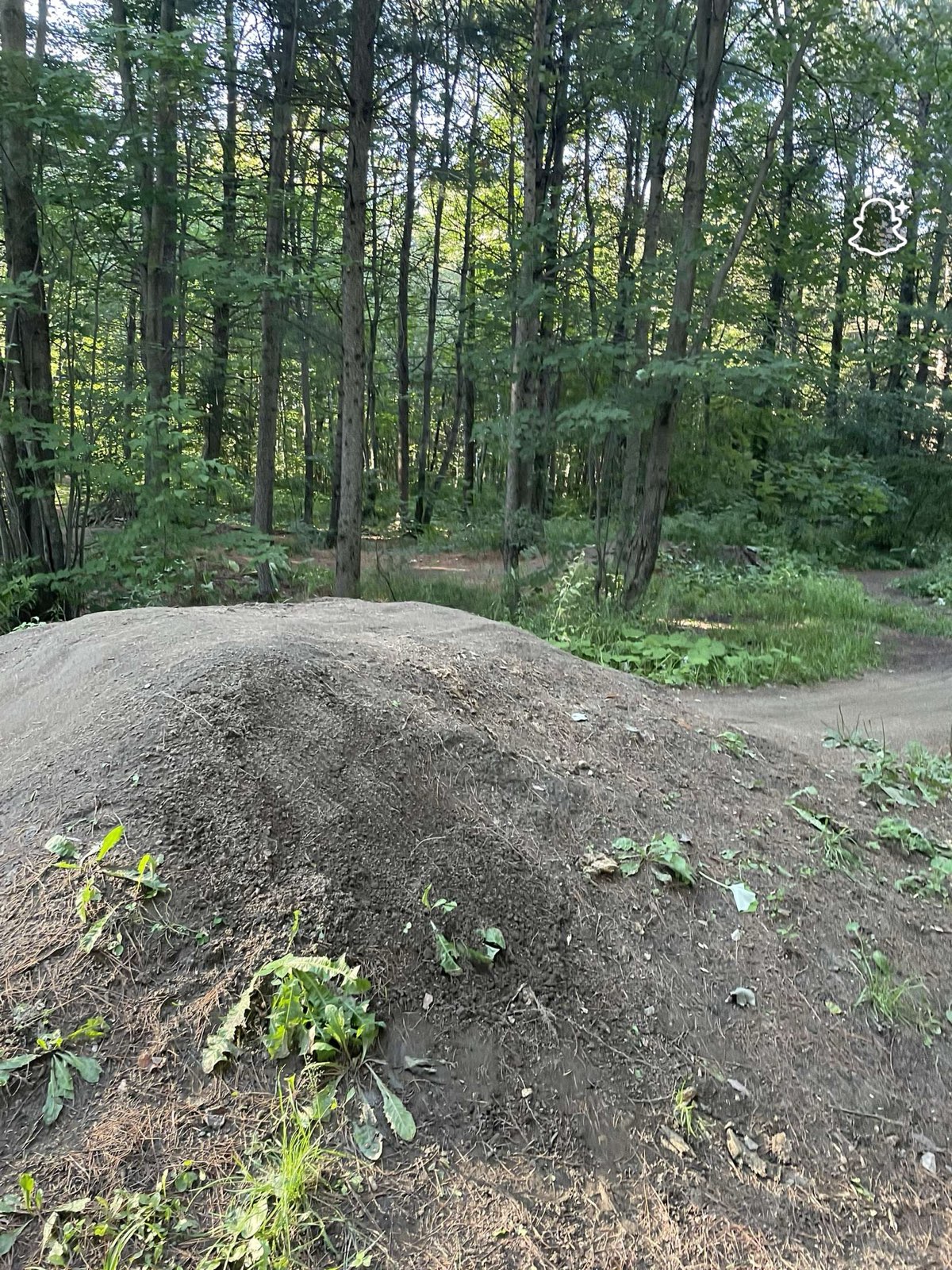 Blainville jumps trail photo 3