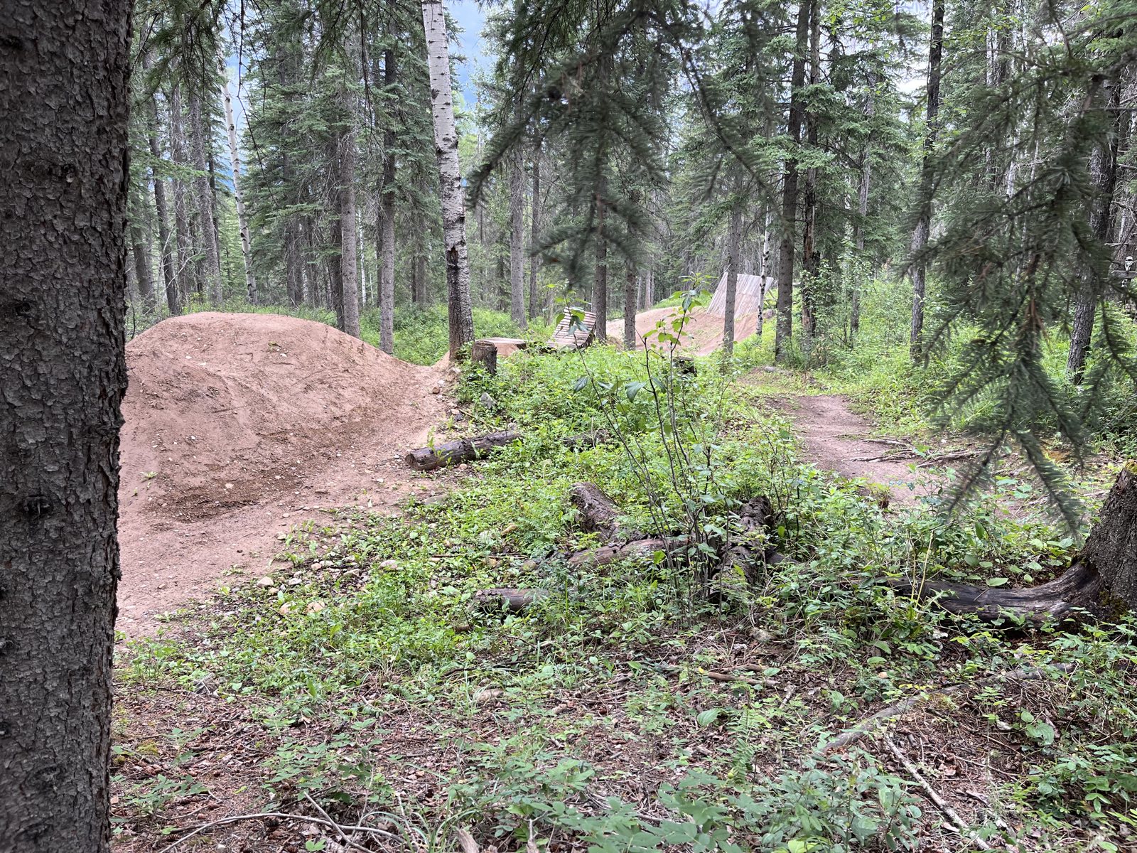 Trans Mountain Sender trail photo 3