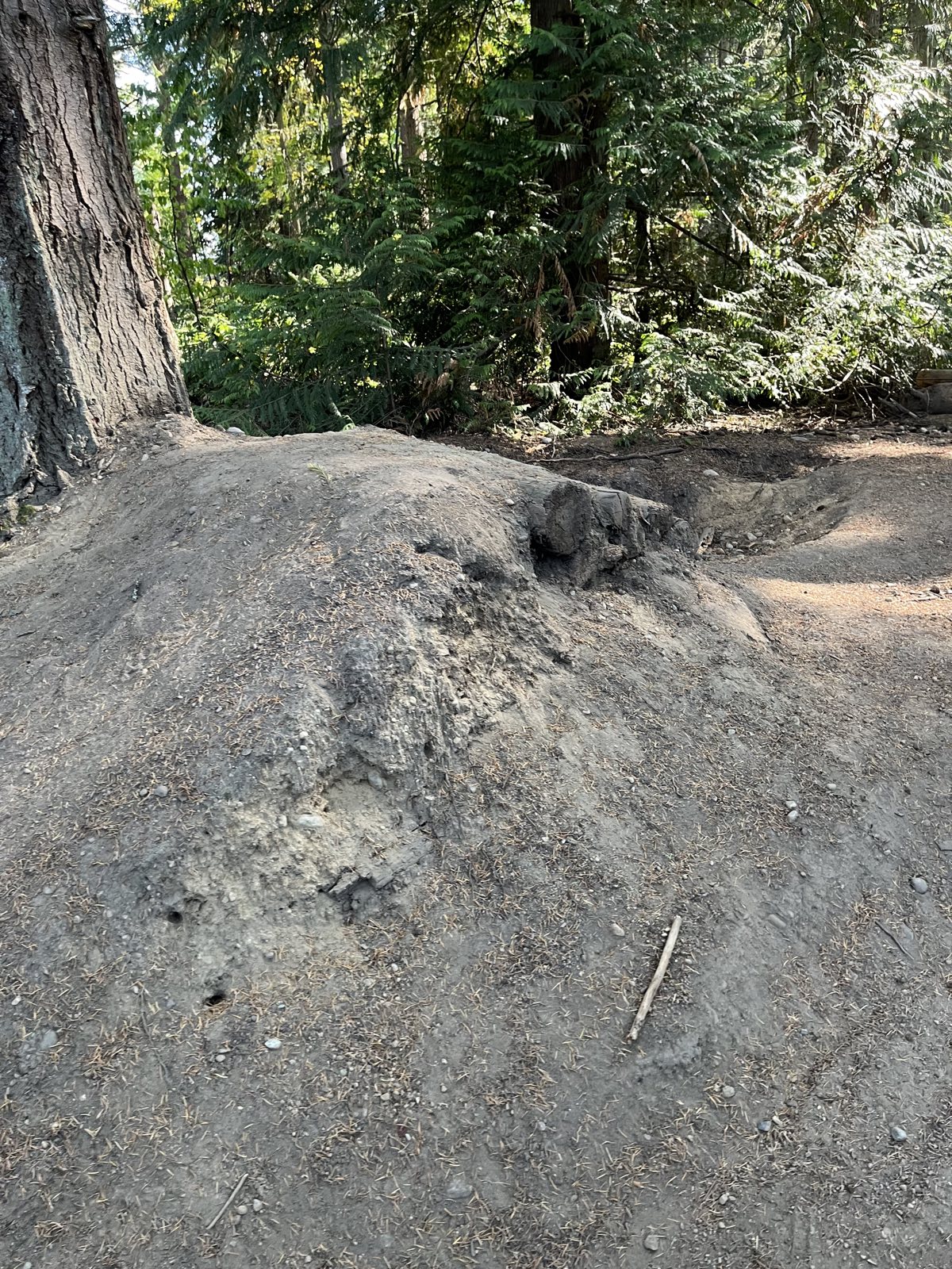 Double gap trail photo 2