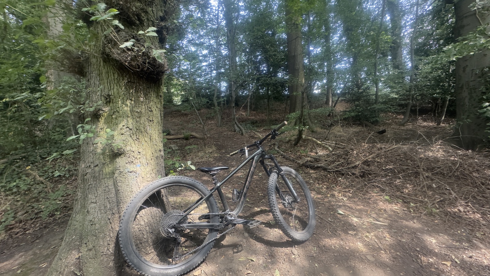 Tecky Descent trail photo 1