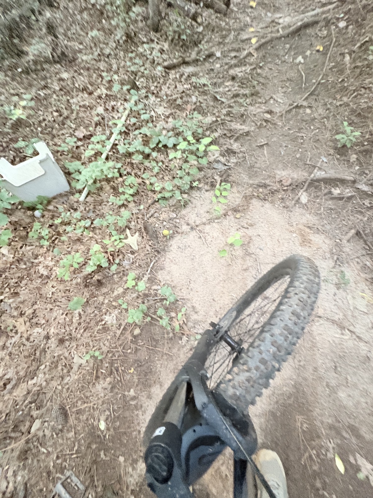 J-Line trail photo 2