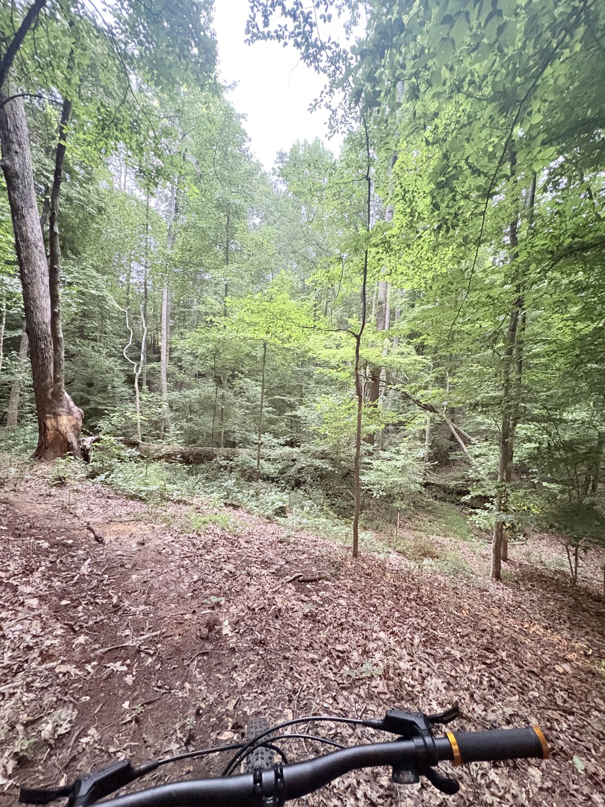 J-Line trail photo 4