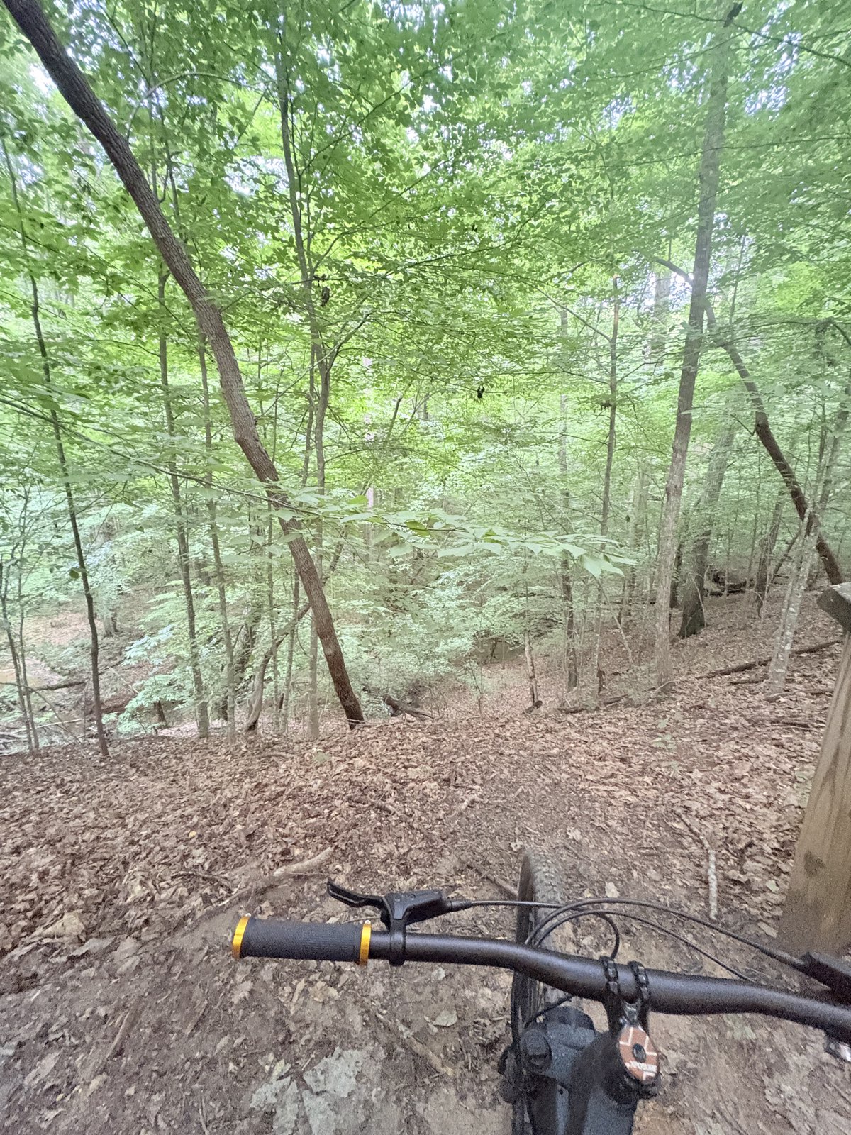J-Line trail photo 3