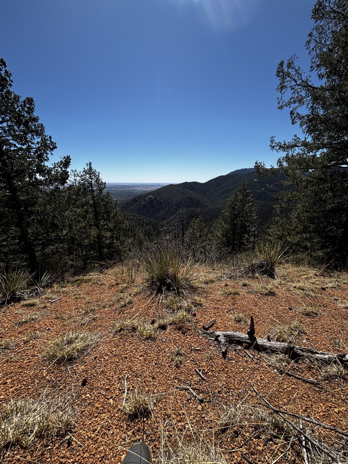 Palmer Trail trail photo 1