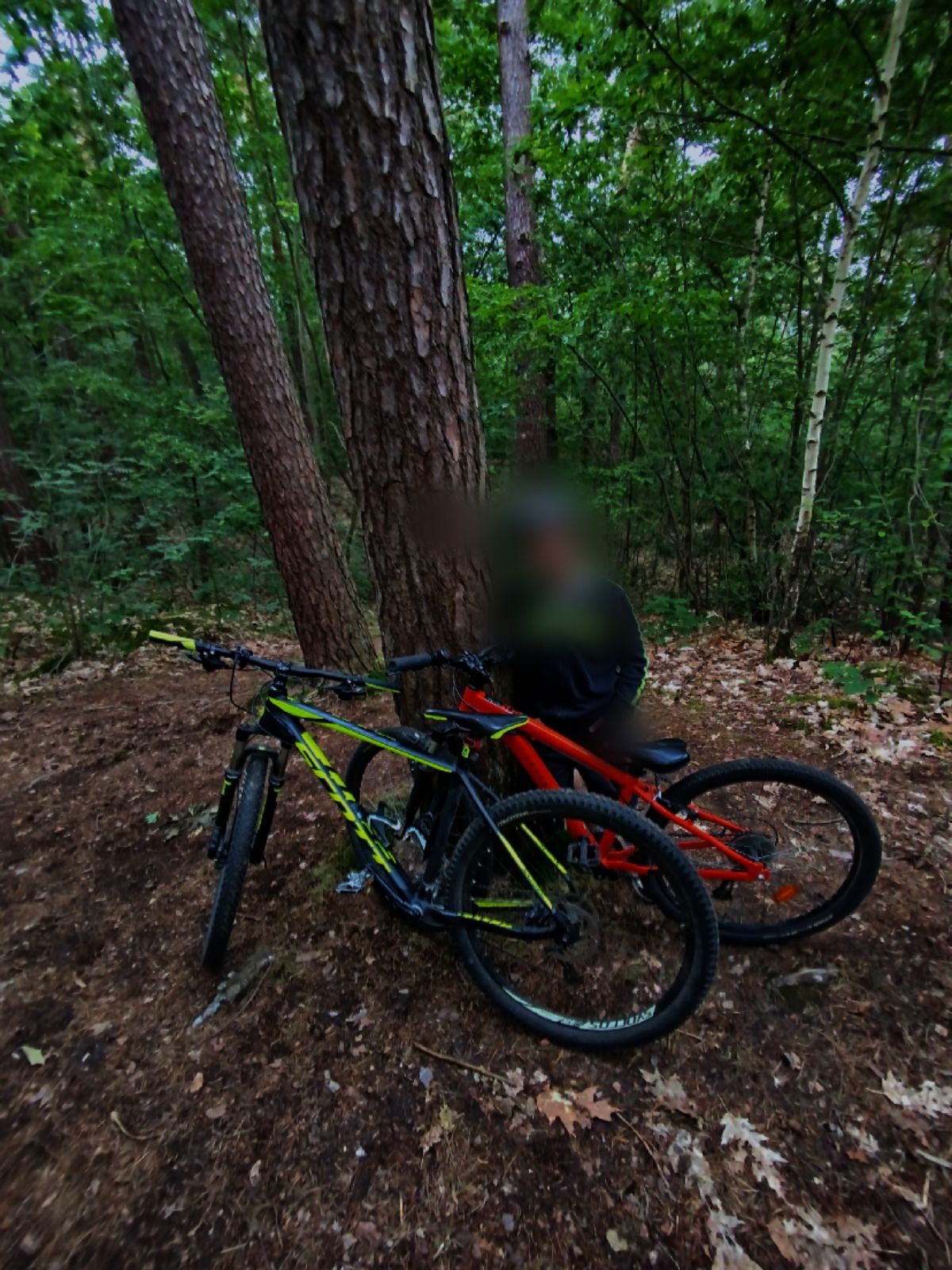 Chill With Fun Drops trail photo 1