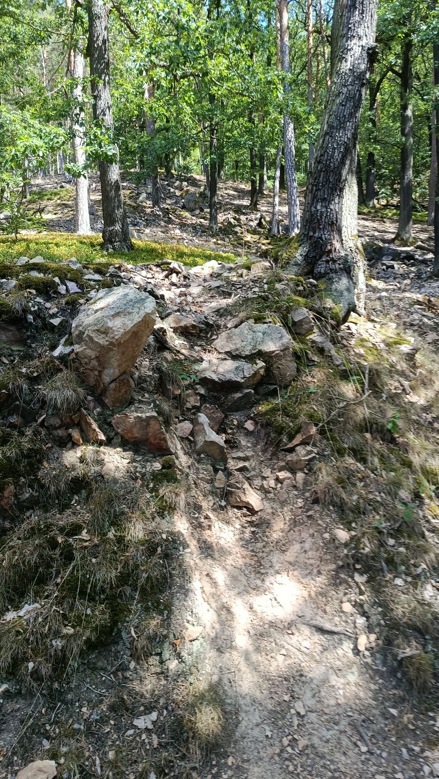 Hvíždinec DH trail photo 1