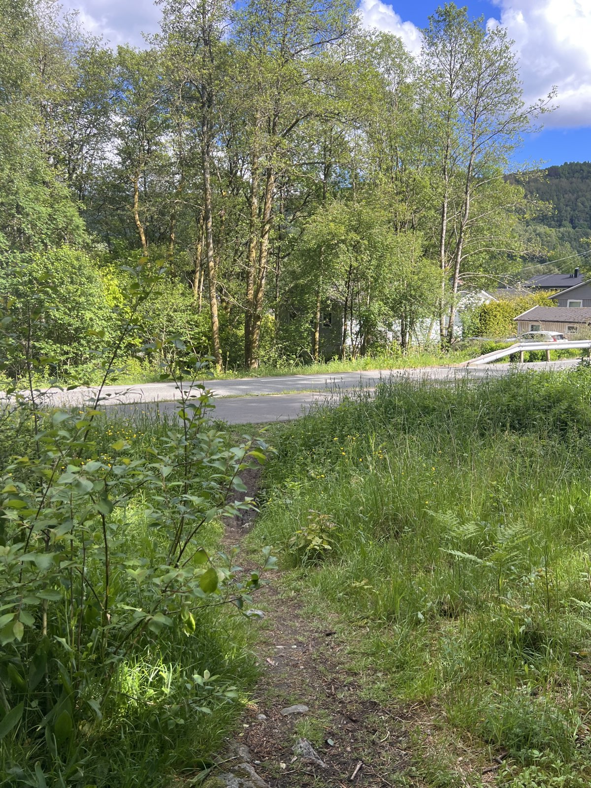 Little track trail photo 5